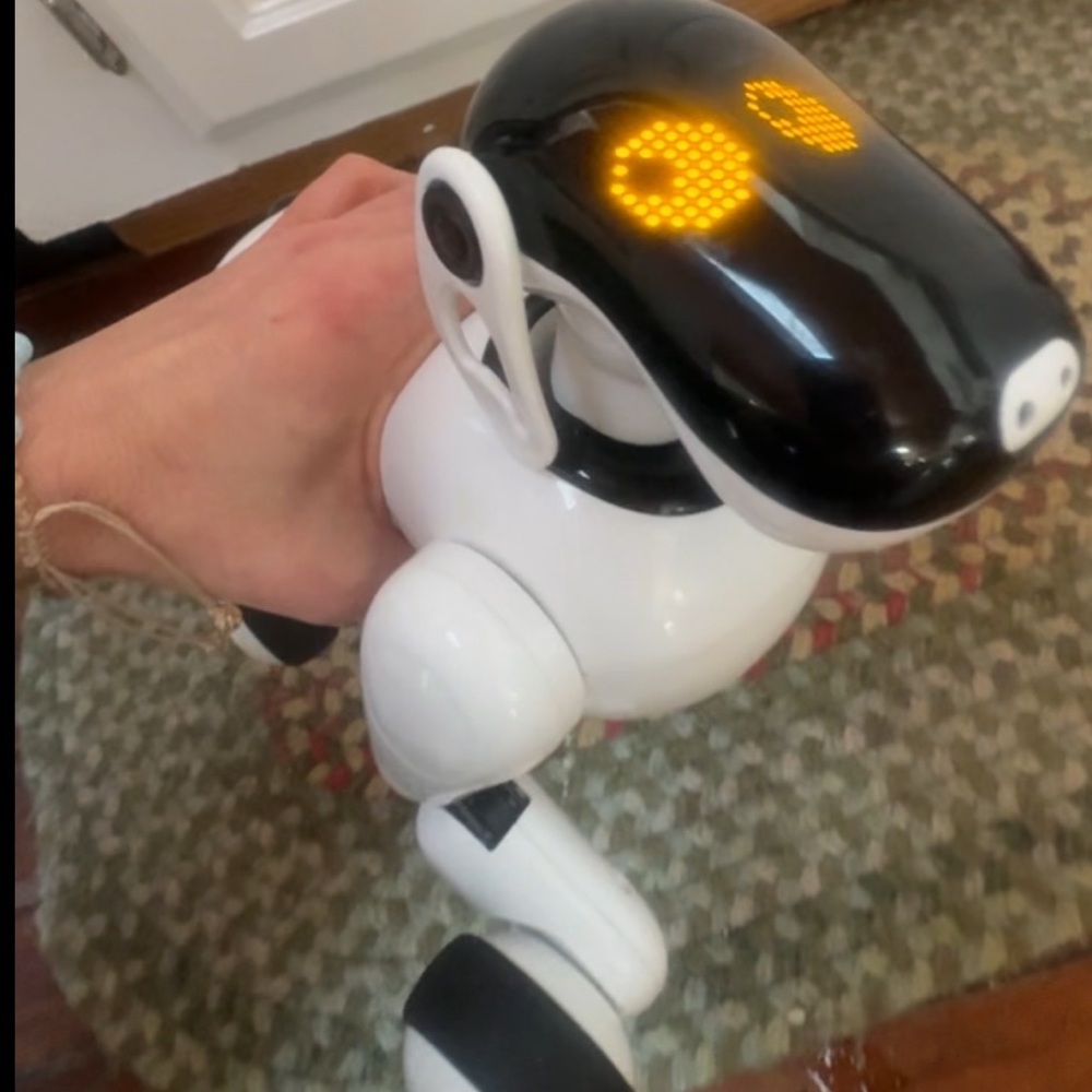 Gizmo Robotic Dog Toy - Black and White (missing tail)